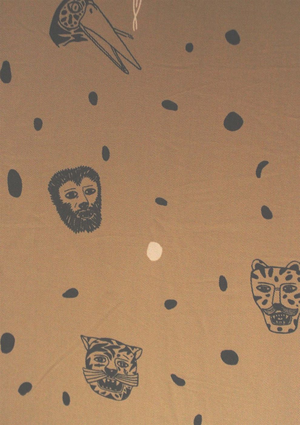 Tencel 2/1 twill fabric
