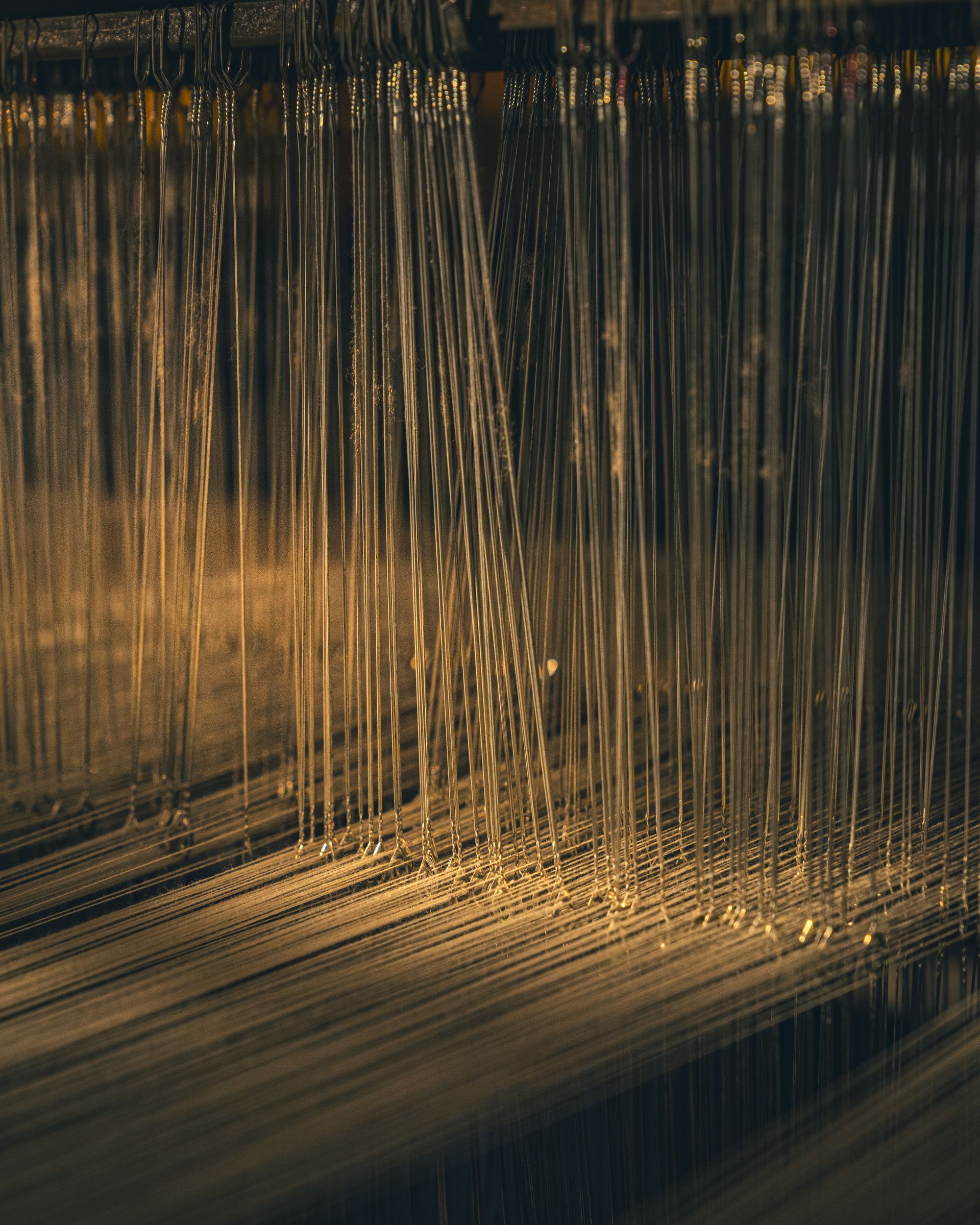 Warp threads catching golden light on the loom