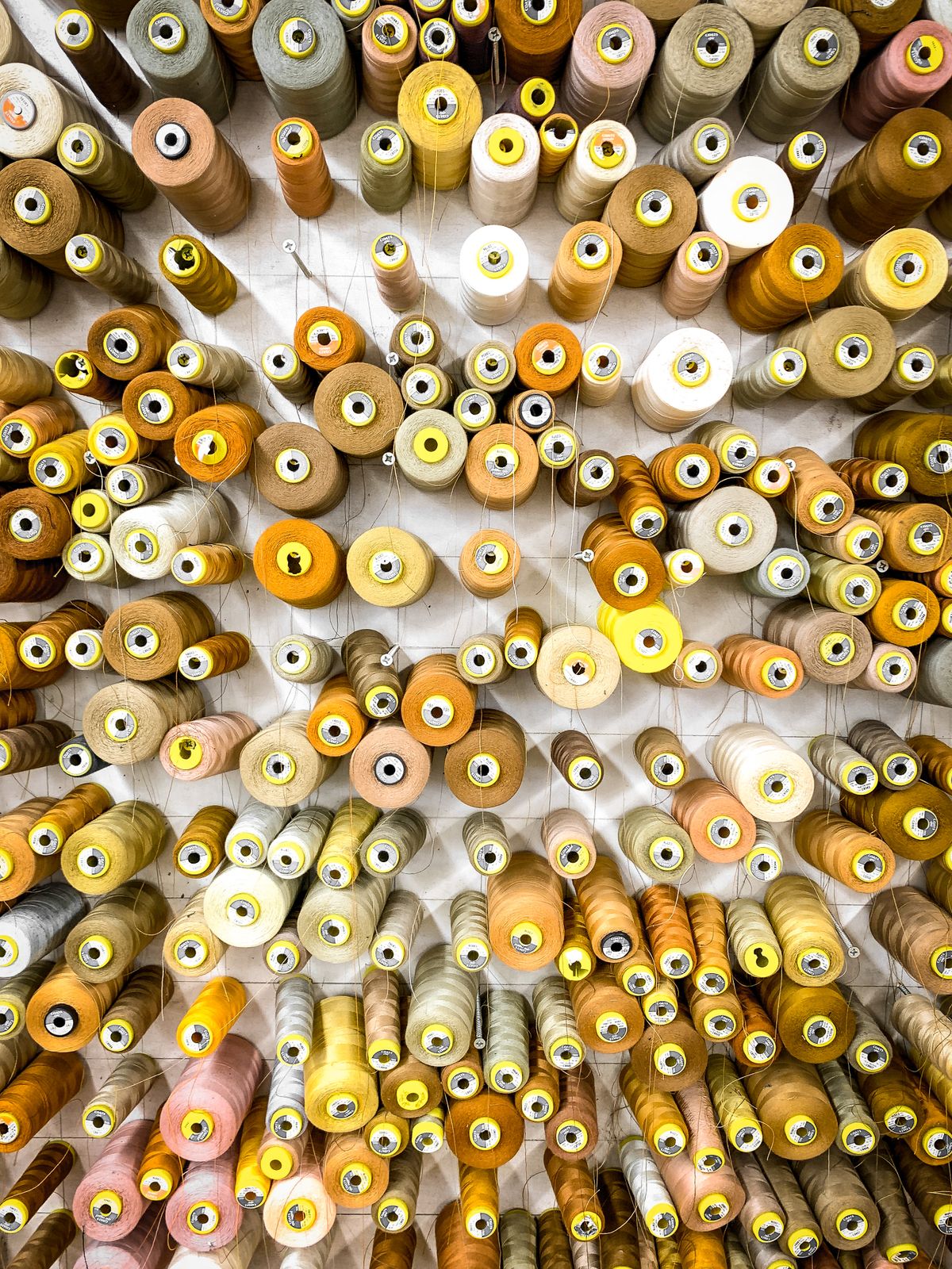 Cones of fine natural-fibre yarn ready for warping